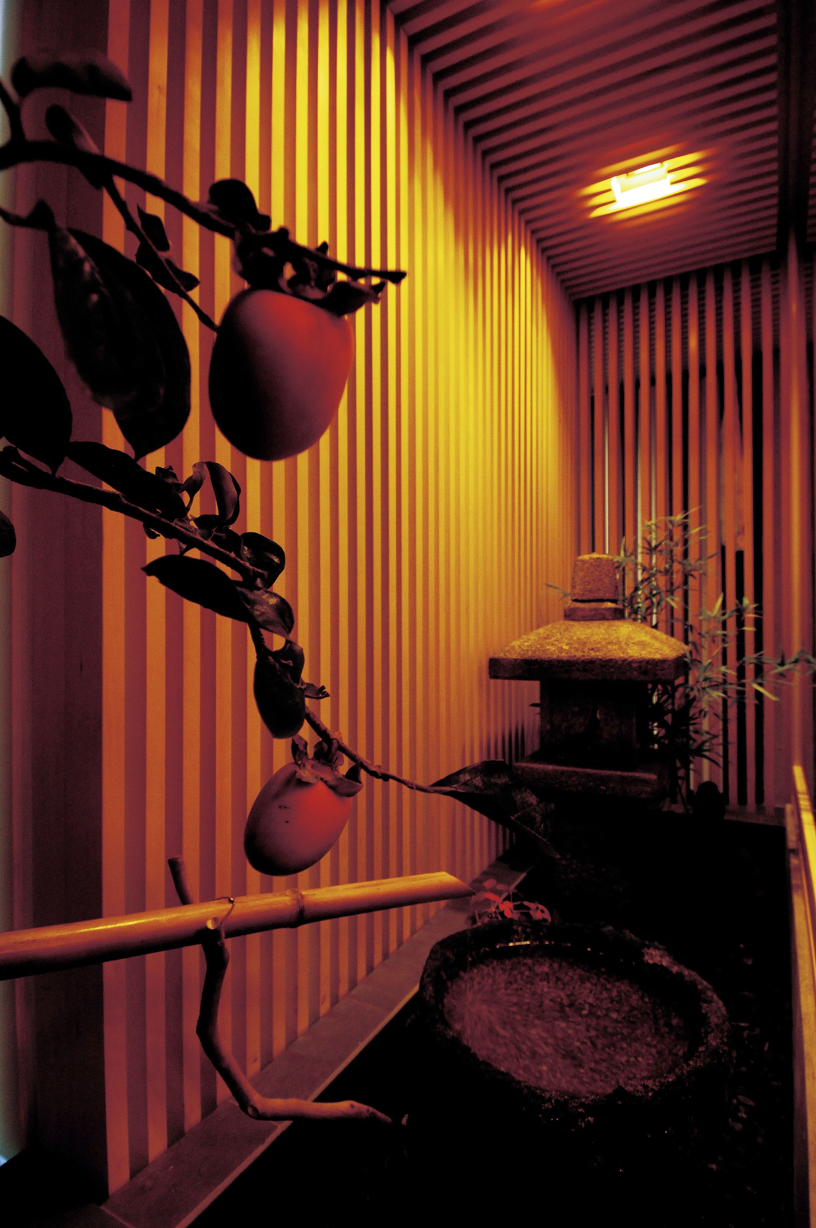 三宅建築設計事務所 釜めし たぬき 山梨県